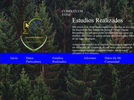 nuevoWeb/estudios screenshot