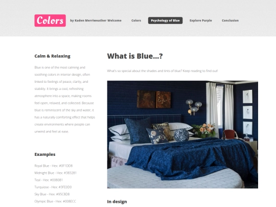 blue-room-psychology screenshot