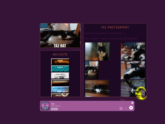 TazPhotography screenshot
