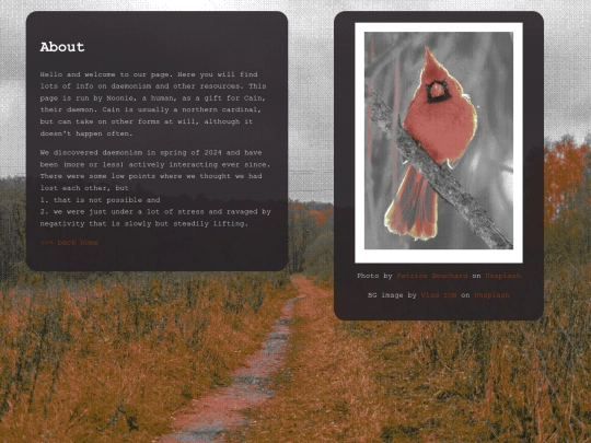 about screenshot
