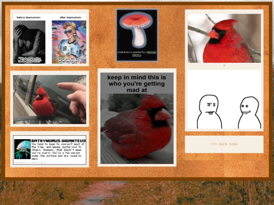 gallery screenshot