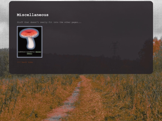misc screenshot