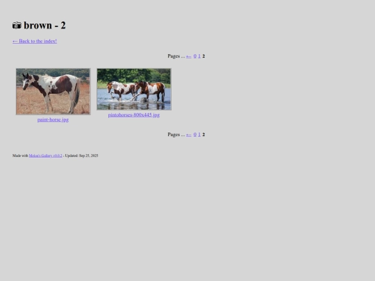 gallery/brown/2 screenshot