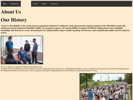 FINAL/AboutUs screenshot