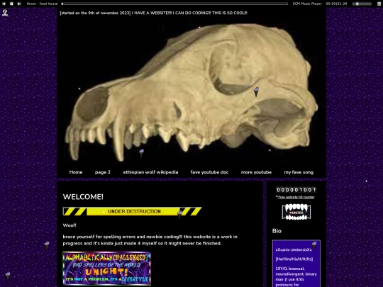 oldsite screenshot