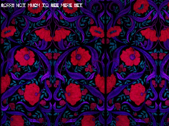 InternetParaphernaliaGallery screenshot