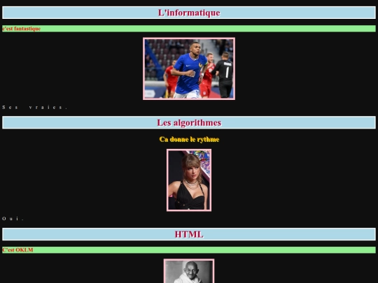 Site_NSI screenshot
