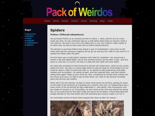 bugs/spiders screenshot