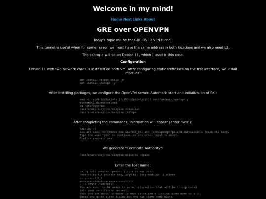 gre-over-ovpn screenshot