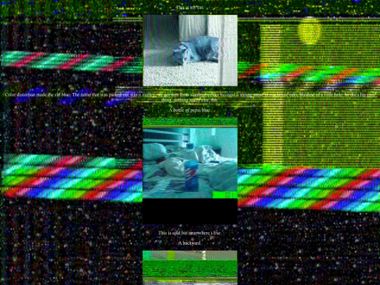 mycat screenshot