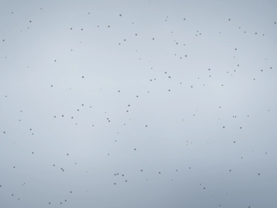 dropsdude screenshot