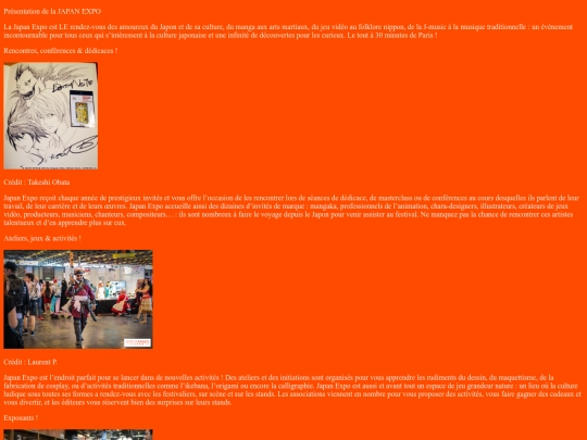 japanexpo screenshot