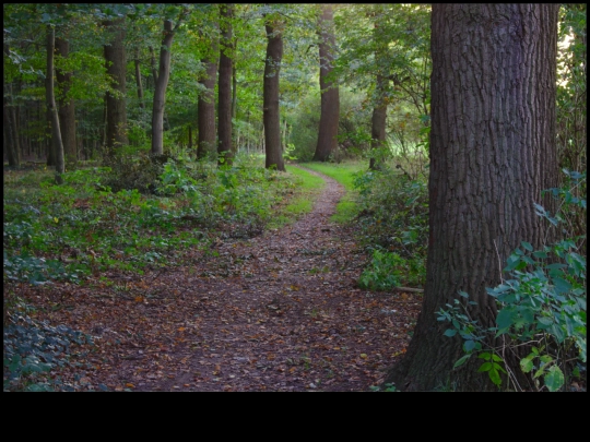breathe screenshot