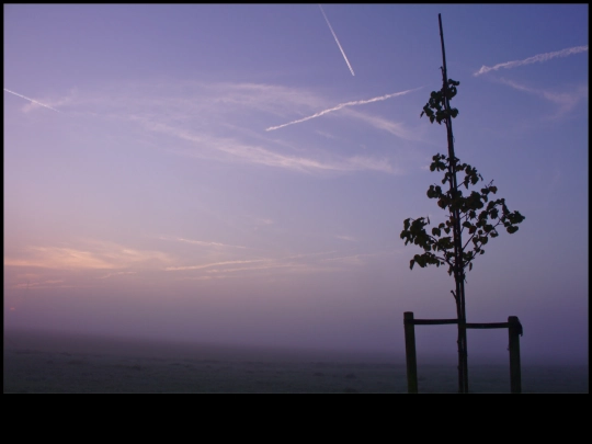 damp screenshot