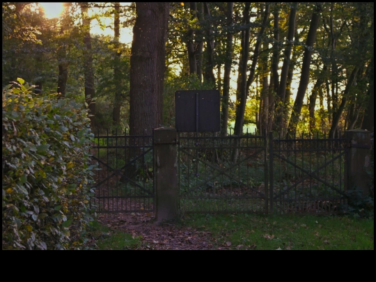 extant screenshot