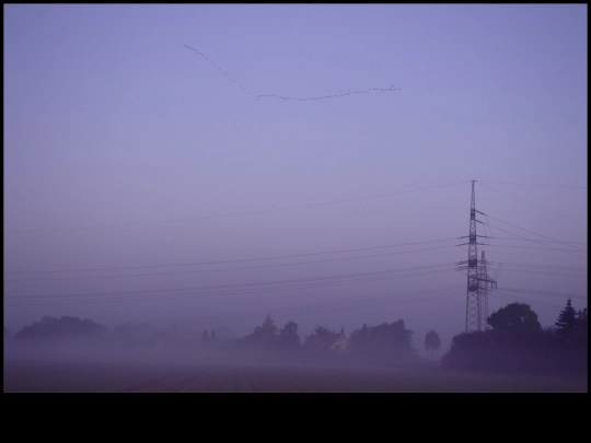 lost screenshot