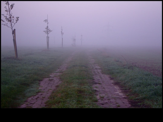 vast screenshot