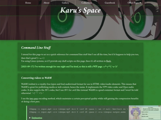 cli screenshot