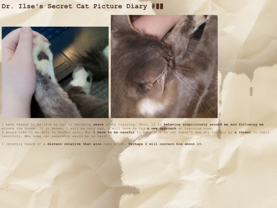 stories/EquSol/E-Edelweiss/secret1 screenshot