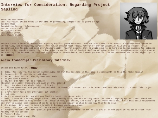 stories/EquSol/SingleWing/interview screenshot