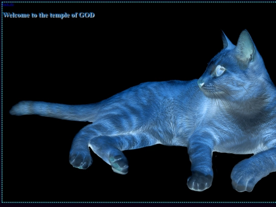 real/indexx screenshot