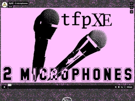 video/2microphones screenshot