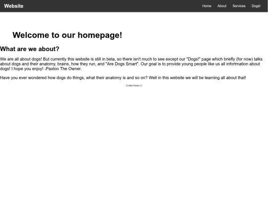 homepage screenshot