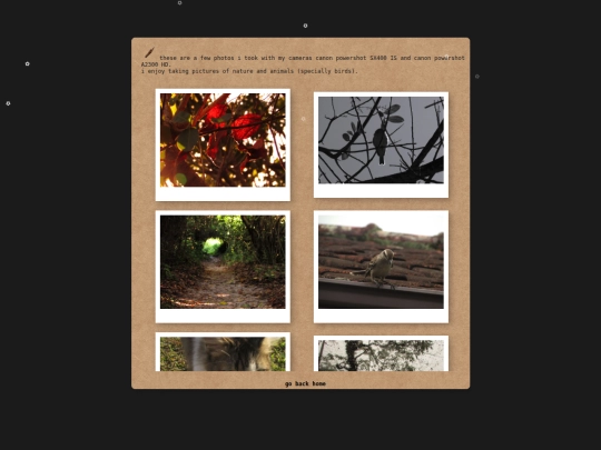 photos screenshot