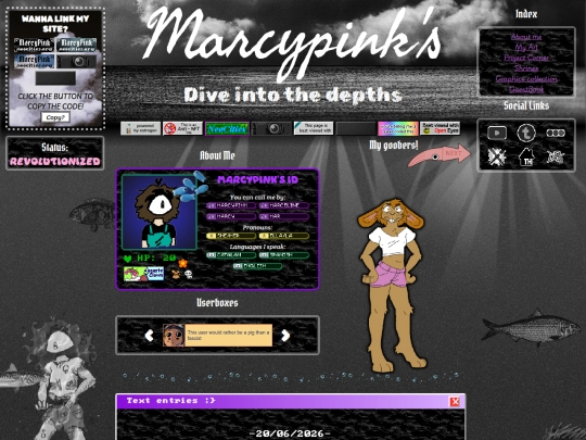 home screenshot