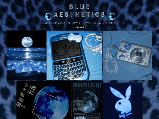 BlueAestheticsGIFS screenshot