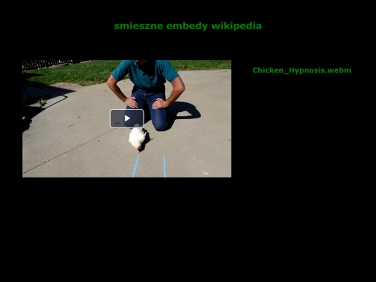 embed screenshot