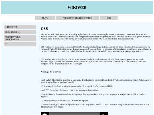 css screenshot