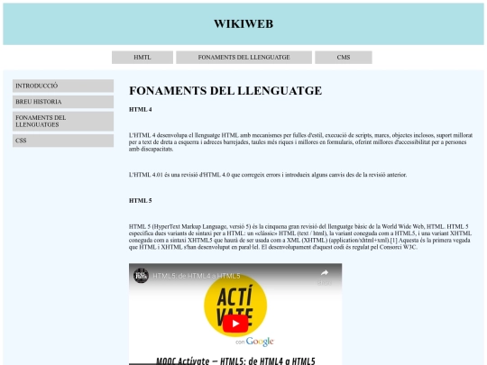 fonamentshtml screenshot