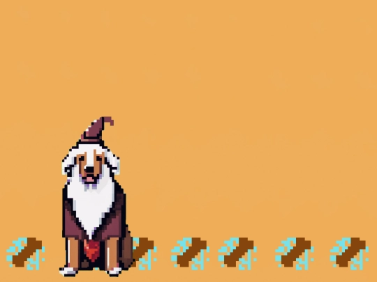 dogwiz screenshot