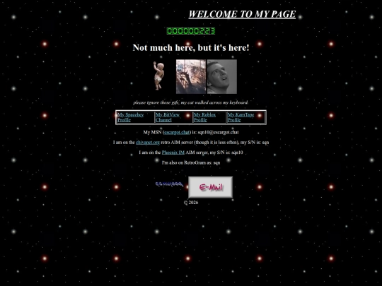 sqn10 screenshot