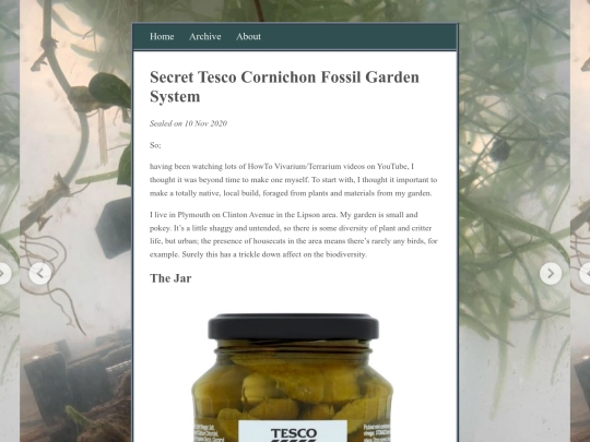 posts/2020-11-17-Secret-Tesco-Cornichon-Fossil-Garden-System screenshot