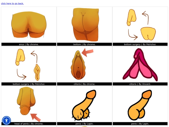 Body/genitalia screenshot