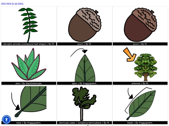 Nature/plants screenshot