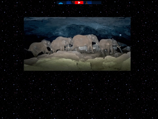 elephant screenshot