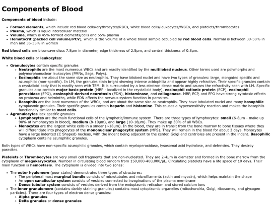 blood screenshot