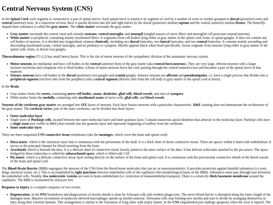 centralnervoussystem screenshot