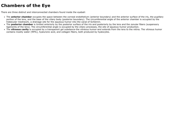 chambersoftheeye screenshot