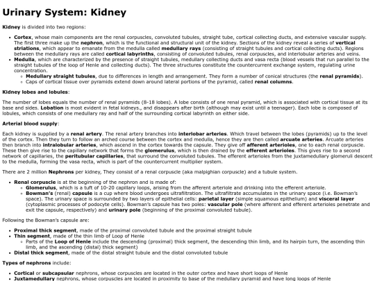 kidney screenshot