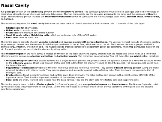 nasalcavity screenshot