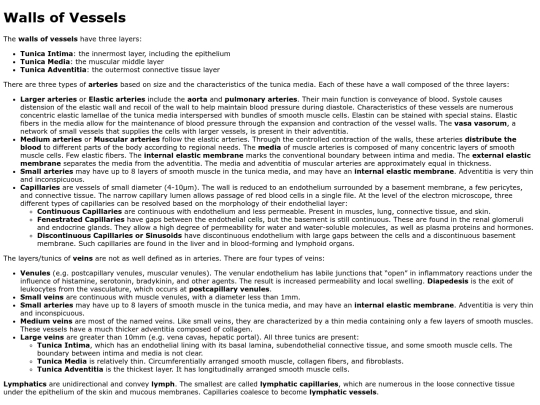 wallsofvessels screenshot