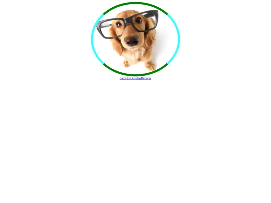 folder_funnydogpics/funnyGoldenRetever screenshot