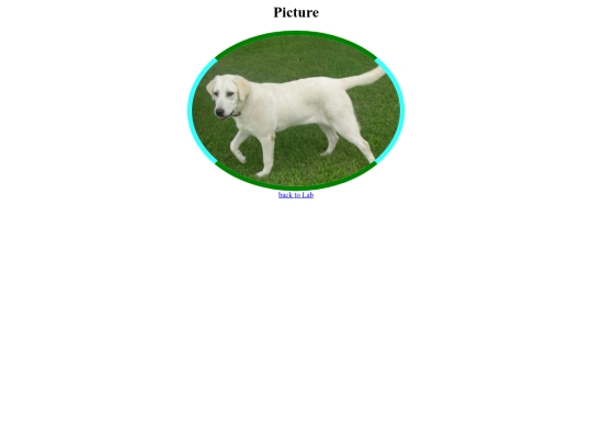 folder_funnydogpics/funnylab screenshot