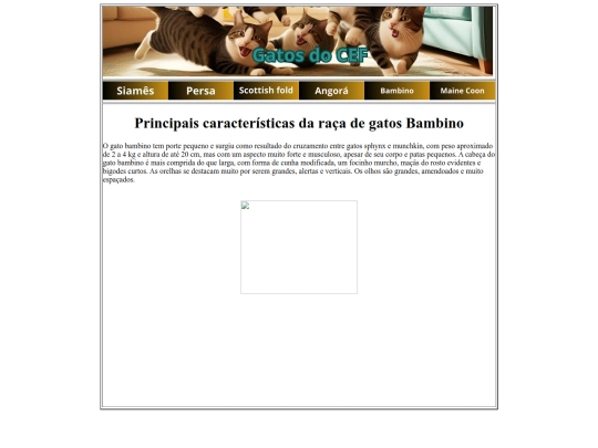 bambino screenshot