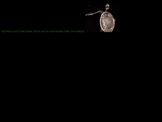 nonfunctional screenshot