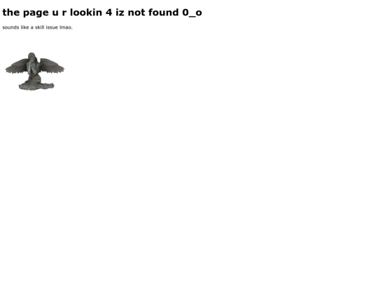 not_found screenshot